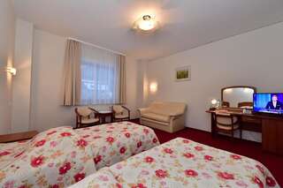 Отель Hotel Jaworzyna Krynicka Крыница-Здруй Двухместный номер с 1 кроватью или 2 отдельными кроватями-2